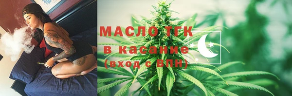 гидра Инсар