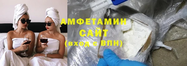 гидра Инсар