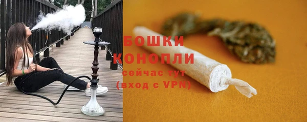 твердый Иннополис