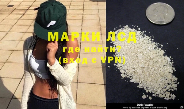 гидра Инсар
