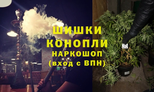 гидра Инсар