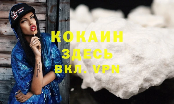 твердый Иннополис