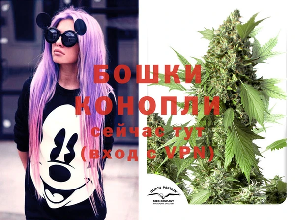 твердый Иннополис