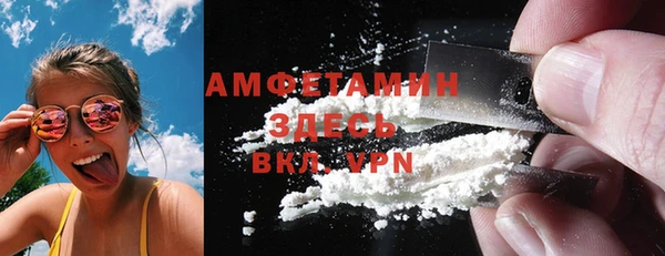 гидра Инсар