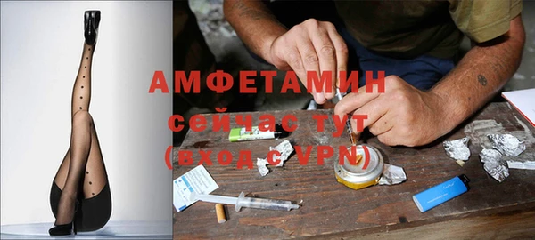 гидра Инсар