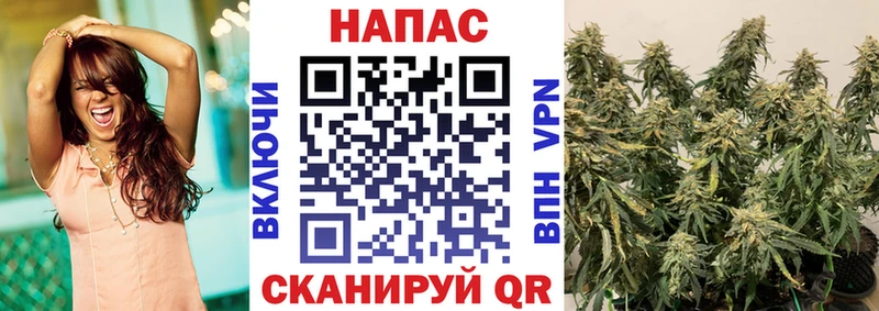Купить  Завитинск  Бошки Шишки ГИДРОПОН 